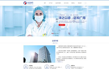 上海用正医药科技有限公司